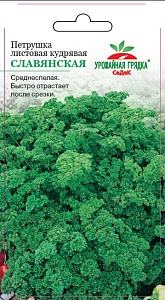 Петрушка кудрявая Славянская 2г ц/п (Седек)