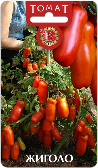 Томат Жиголо 20шт (Биотехника)