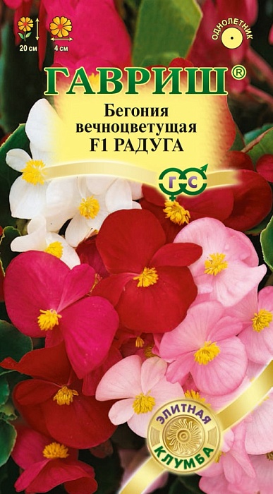 Бегония Радуга, смесь F1 7шт ц/п *(Гавриш) 