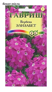 Вербена Элизабет ц/п (Гавриш) НОВИНКА