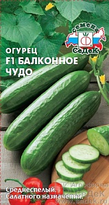 Огурец Балконное чудо F1 0,2г ц/п (Седек) 
