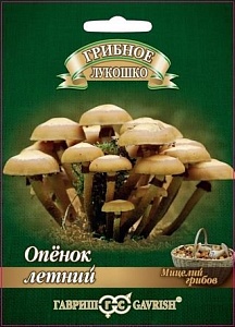 Мицелий грибов Опенок летний 12шт ц/п (Гавриш)