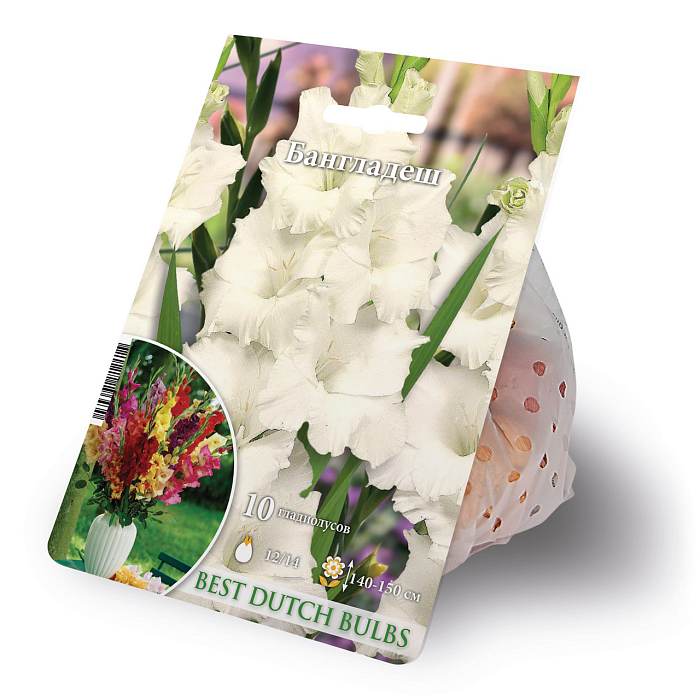 Гладиолус Бангладеш 12/14 1шт (НК) 10шт/уп