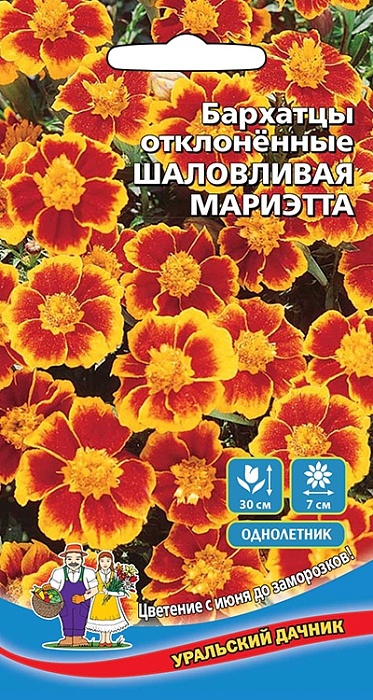 Бархатцы Шаловливая Мариетта 0,2г ц/п (УД) откл, 7/20-30 см