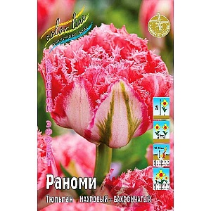 Тюльпан Раноми 1шт (КолЛайн) 2шт/уп