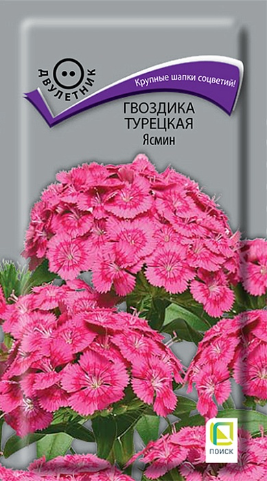 Гвоздика турецкая Ясмин 0,3г ц/п (Поиск)