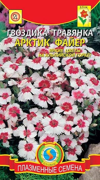 Гвоздика травянка Арктик Файер 14шт ц/п (ПлазмаС)