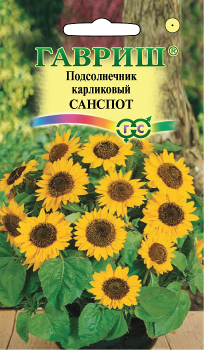 Подсолнечник Санспот карликовый 0,5г ц/п (Гавриш)