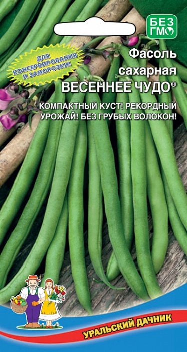 Фасоль Весеннее чудо 10шт ц/п (УД) зеленая,кустовая,спаржевая
