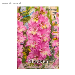 Гладиолус Москва 1шт (КолЛайн) 3шт/уп