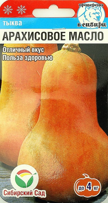 Тыква Арахисовое масло 3шт (СибСад)