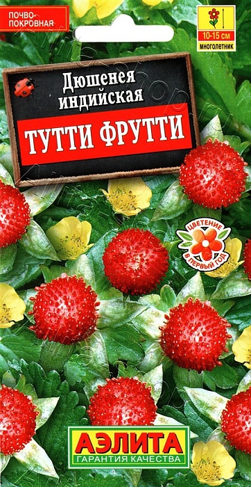 Календула Дикобраз желтая 0,1г ц/п (Аэлита) Новинка