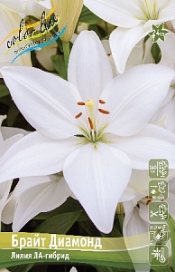 Лилия Брайт Диамонд 1шт (КолЛайн) 7шт/уп