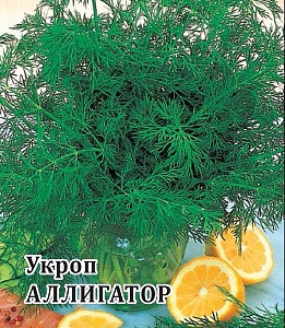 Укроп Аллигатор 25г (Гавриш)