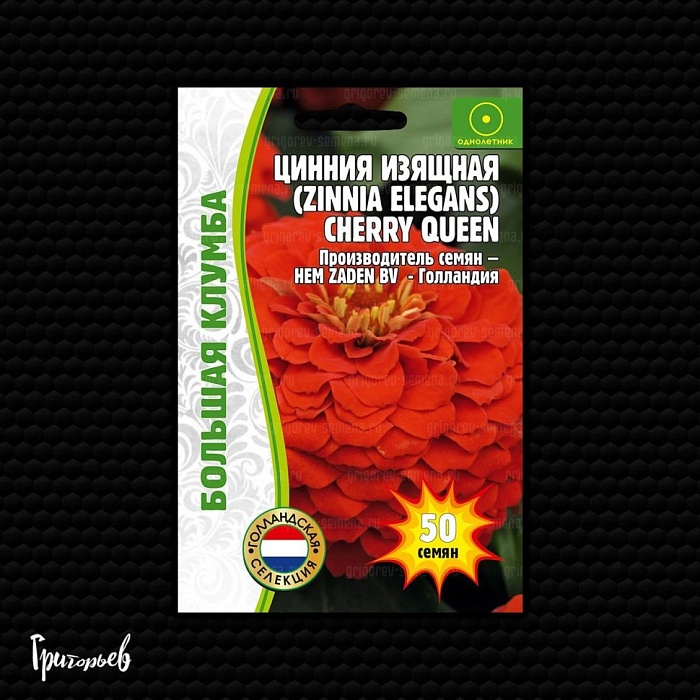 Цинния Cherry Queen изящная 50шт (Григорьев)