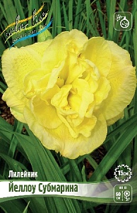 Лилейник Йеллоу Субмарина 1шт (КолЛайн)