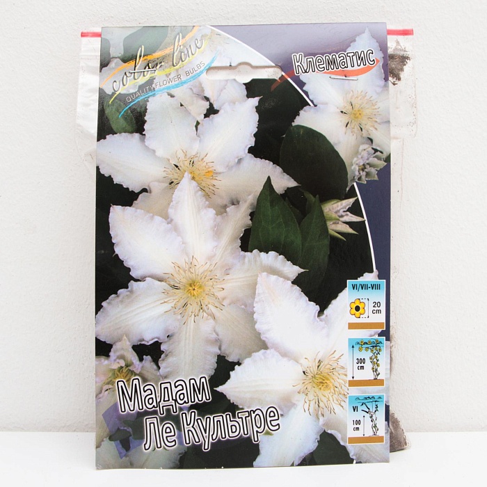 Клематис Мадам Ле Культре 1шт (КолЛайн) 2шт/уп