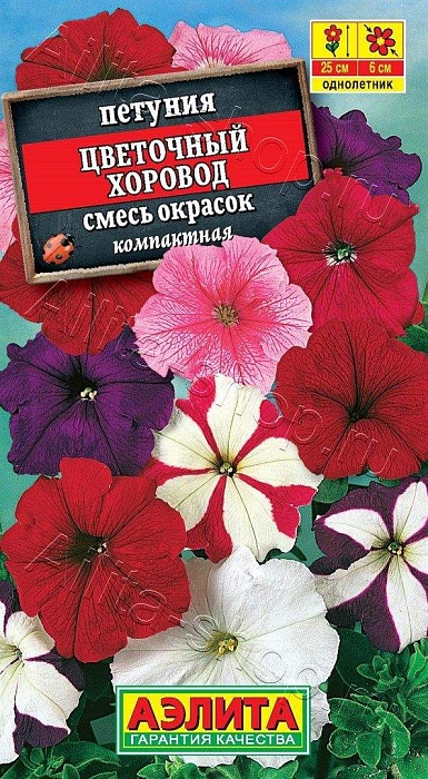 Петуния Цветочный хоровод, смесь 0,1г ц/п (Аэлита) 
