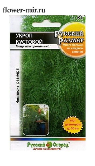 Укроп Русский размер 200шт ц/п (НК) 