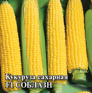 Кукуруза Соблазн F1 100г (Гавриш)