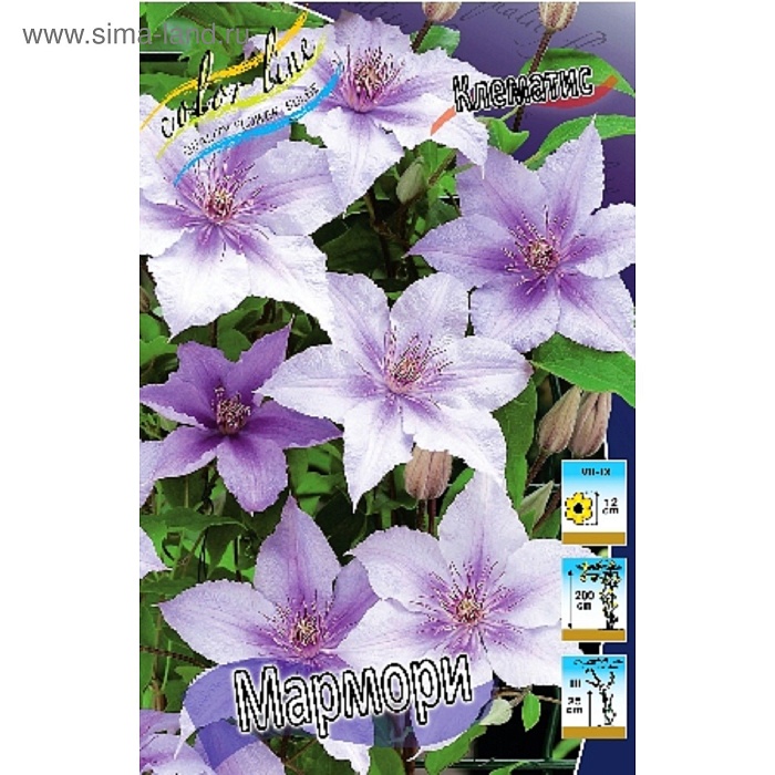 Клематис Мармори 1шт (КолЛайн) 2шт/уп