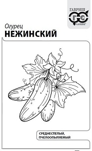 Огурец Нежинский 0,3г б/п (Гавриш)