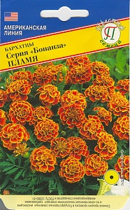 Бархатцы Бонанза Пламя 10шт (Престиж) 25/6