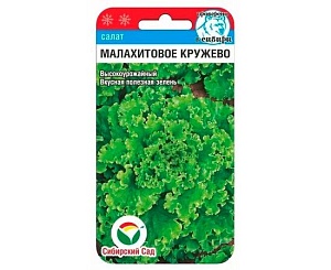 Салат Малахитовое кружево 0,5г (СибСад)