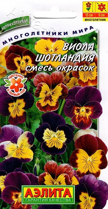 Виола Шотландия, смесь сортов 20шт ц/п (Аэлита)
