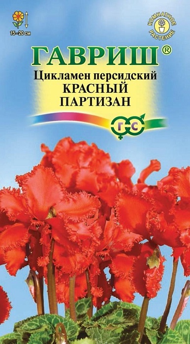 Цикламен Красный партизан 3шт ц/п (Гавриш) 