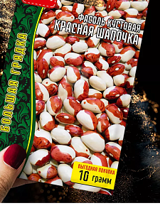 Фасоль Красная шапочка кустовая 10г (Григорьев)