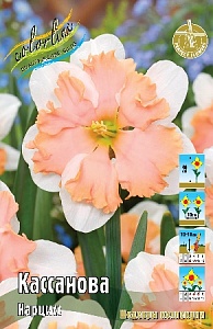 Нарцисс Кассанова 12/14 1шт (КолЛайн)