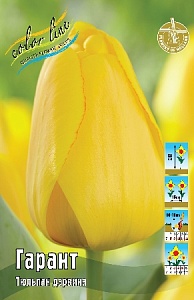 Тюльпан Гарант 1шт (КолЛайн) 10шт/уп