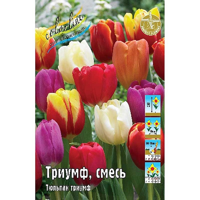 Тюльпан Триумф, смесь 11/12 1шт (КолЛайн) 10шт/уп
