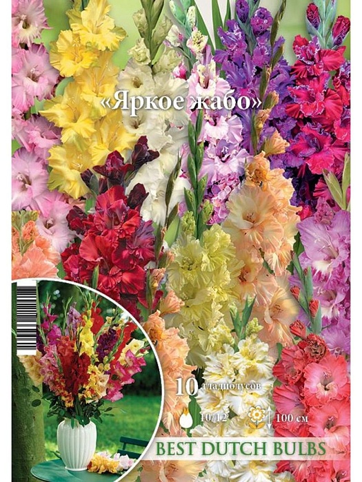 Гладиолус Яркое жабо, смесь 12/14 (НК) 5шт/уп