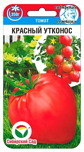 Томат Красный утконос 20шт (СибСад) 