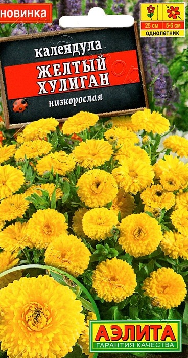Календула Желтый хулиган 0,3г ц/п (Аэлита)