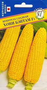 Кукуруза Хони Бэнтам F1 15шт (Престиж) сахарная 78 дней