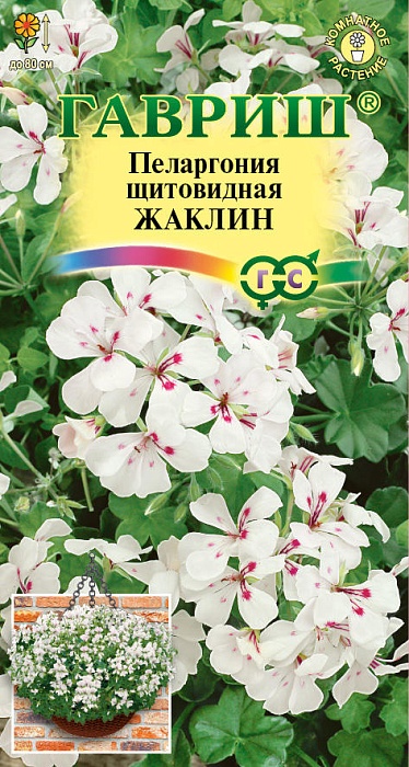 Пеларгония Жаклин ампельная 3шт ц/п *(Гавриш)