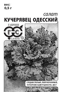 Салат Одесский Кучерявец 0,5г б/п (Гавриш)