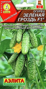 Огурец Зеленая гроздь F1 10шт ц/п (Аэлита)