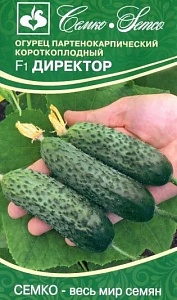 Огурец Директор F1 5шт (Семко) партенокарп