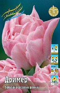 Тюльпан Дример 1шт (КолЛайн) 7шт/уп