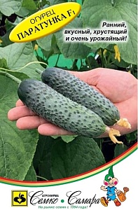 Огурец Паратунка F1 1000шт (Семко)