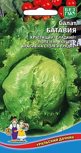 Салат Батавия 0,25г ц/п (УД) кочанный