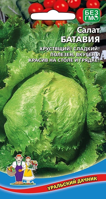 Салат Батавия 0,25г ц/п (УД) кочанный