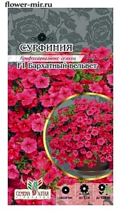 Сурфиния Бархатный вельвет 5шт ц/п (СемАлт)