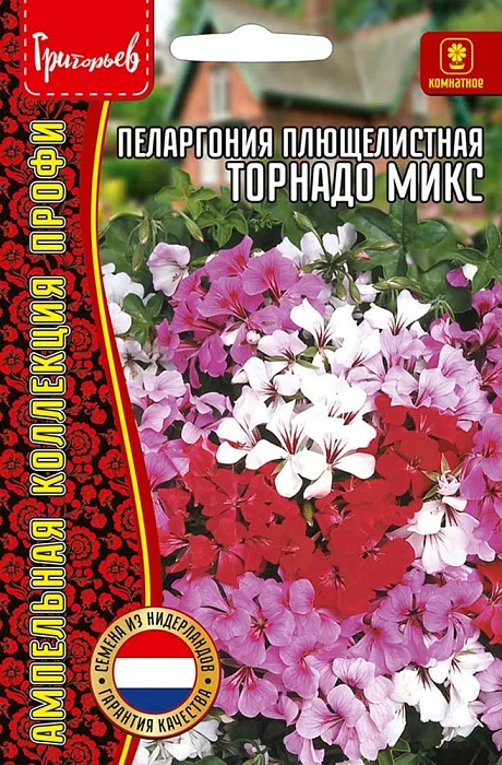 Пеларгония Торнадо МИКС плющелистная F1 3шт (Григорьев)