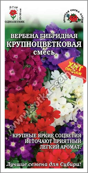 Вербена Крупноцветковая, смесь 0,1г ц/п (З/Сотка)