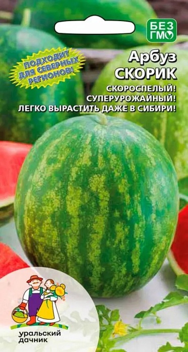 Арбуз Скорик 10шт ц/п (УД)